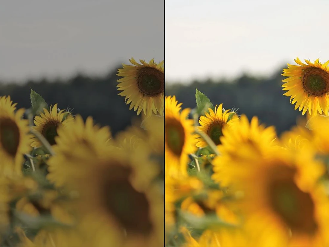 Fotobearbeitungsprogramm einfach