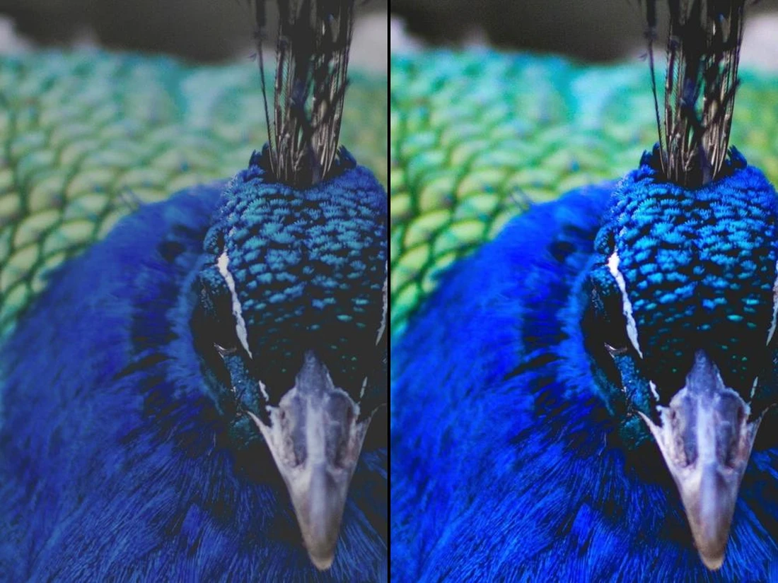Programm zur Fotobearbeitung