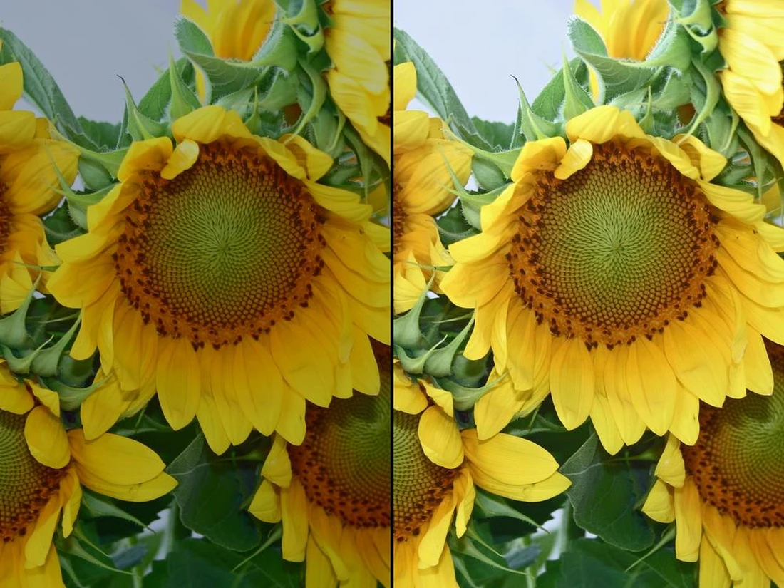 Change Color of Image