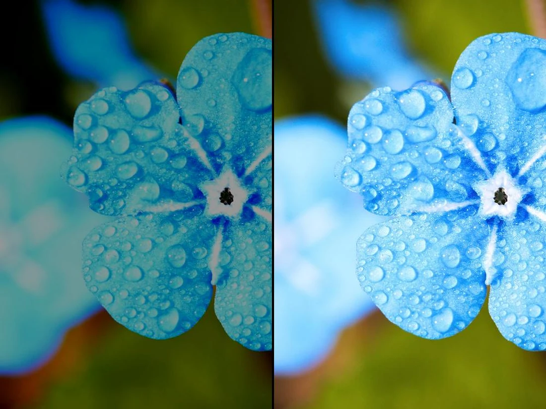 Photo Dimension Editor