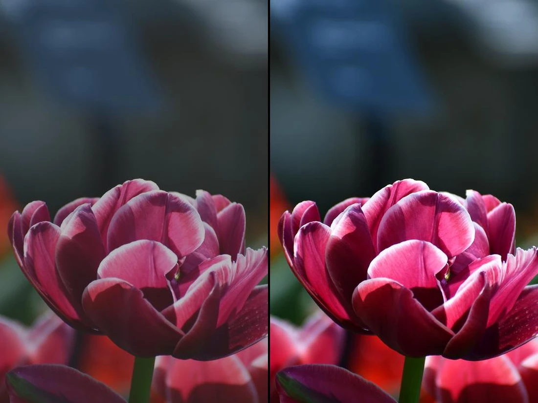 Photo Editor Eraser