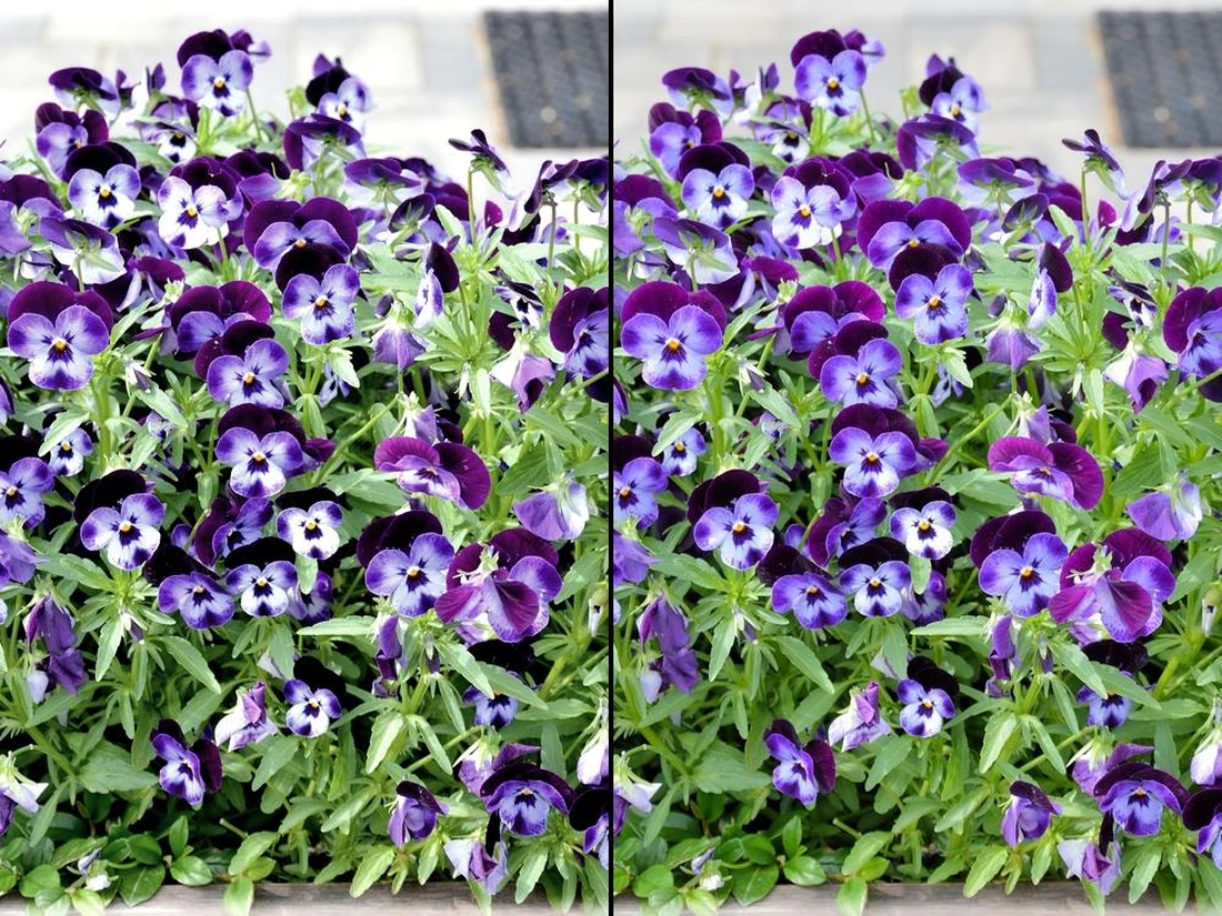 Photo Size Editor