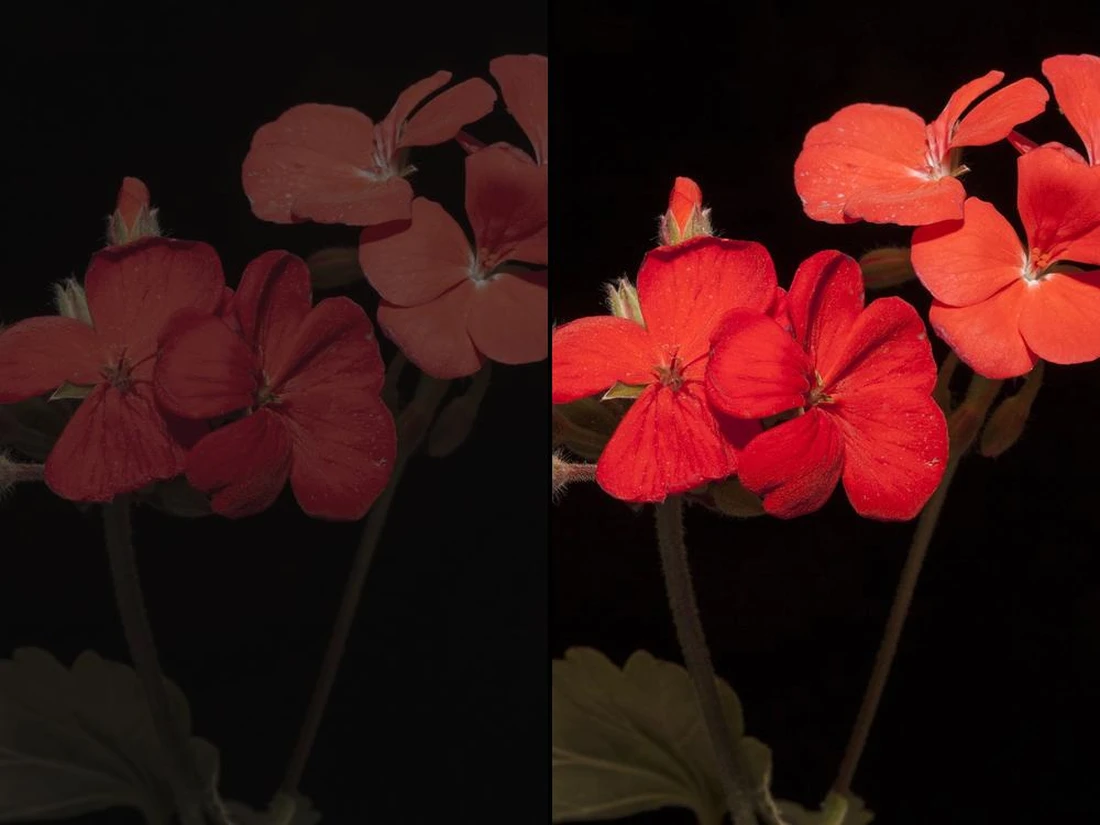 Picture Transparent Maker