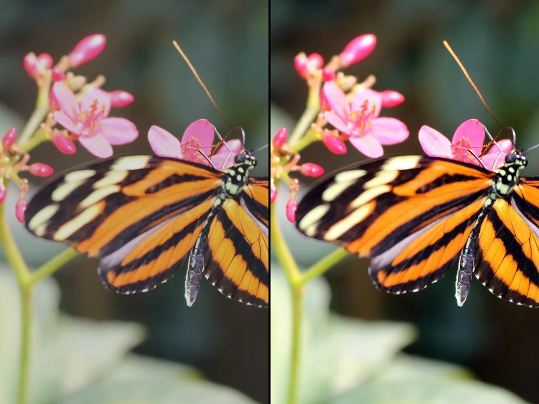 Transparent Photo Maker